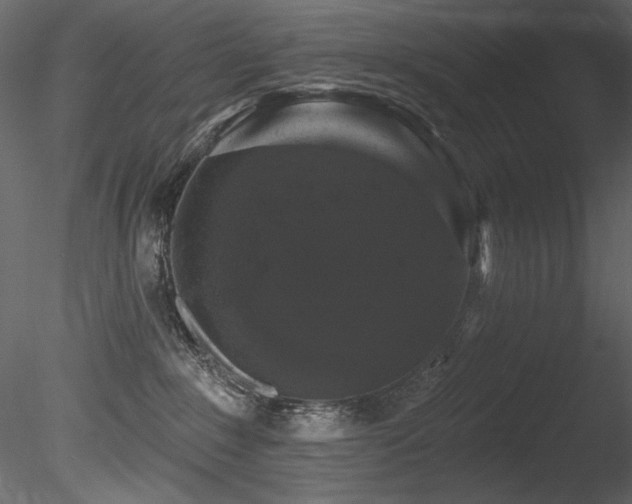 X0000085820235200703161231