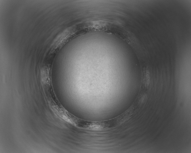 X0000085820236200703161231