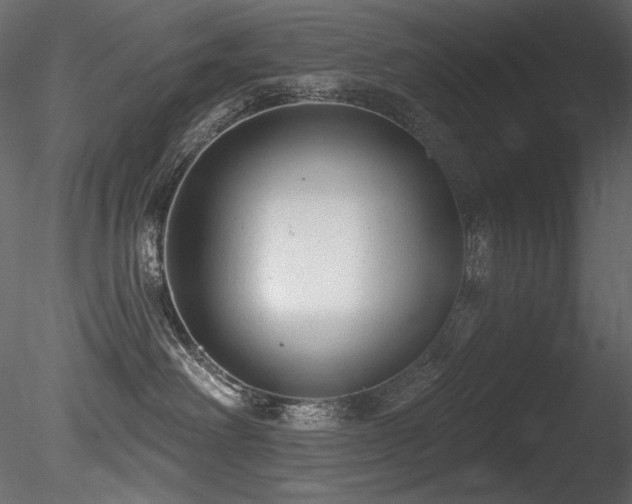 X0000085820238200703161231