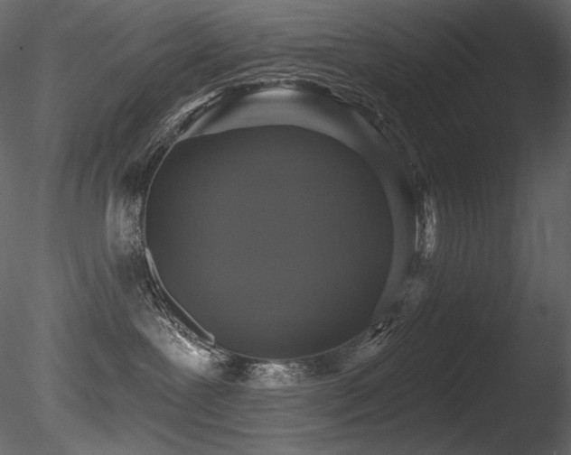 X0000085820239200703161231