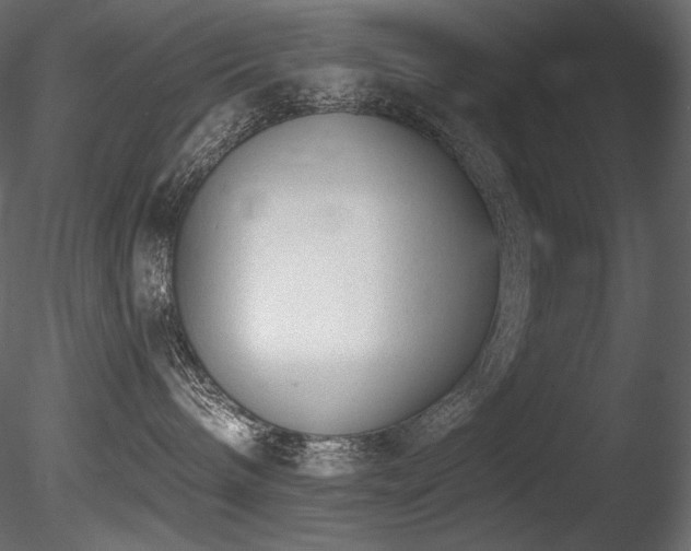 X0000085820240200703161231
