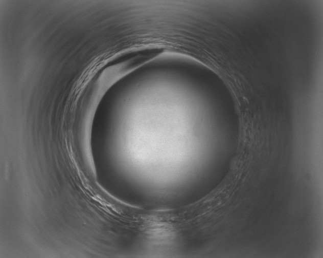X0000085820241200703161230