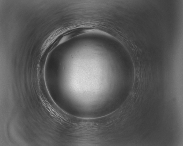 X0000085820242200703161230