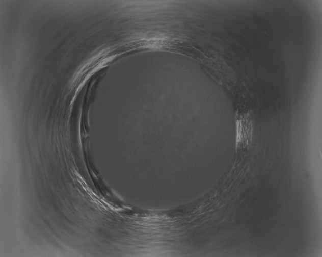 X0000085820243200703161230