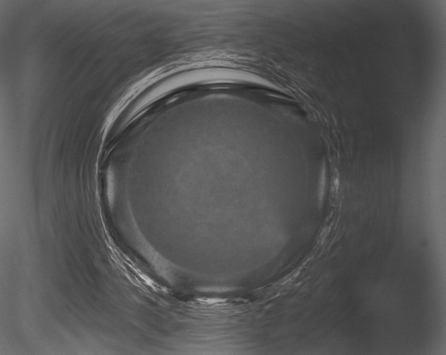 X0000085820244200703161230