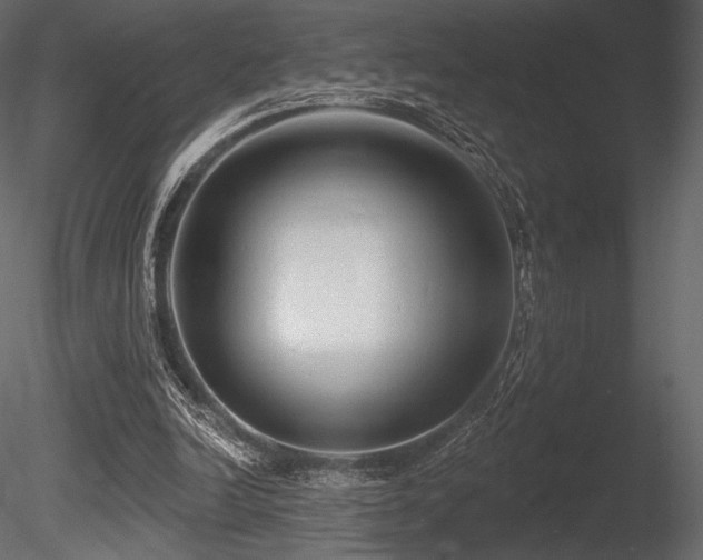 X0000085820246200703161230