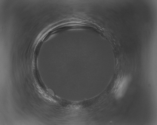 X0000085820247200703161230