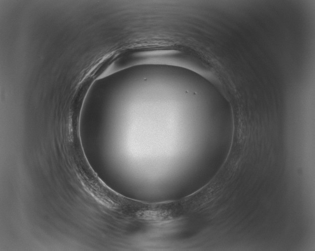 X0000085820251200703161230