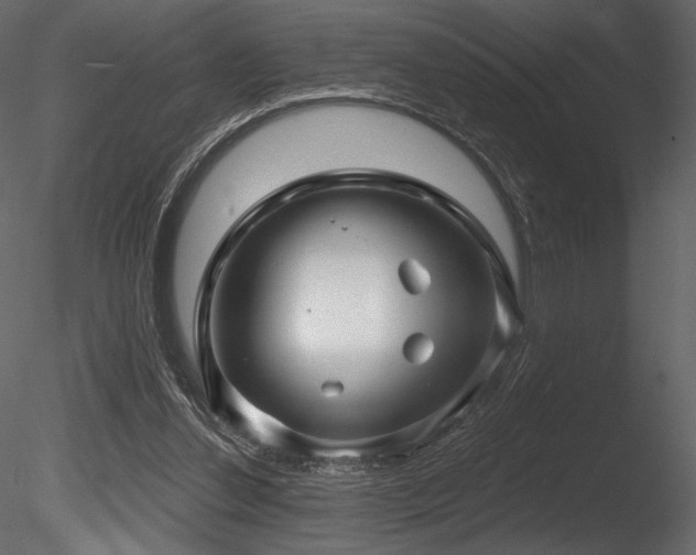 X0000085820252200703161230