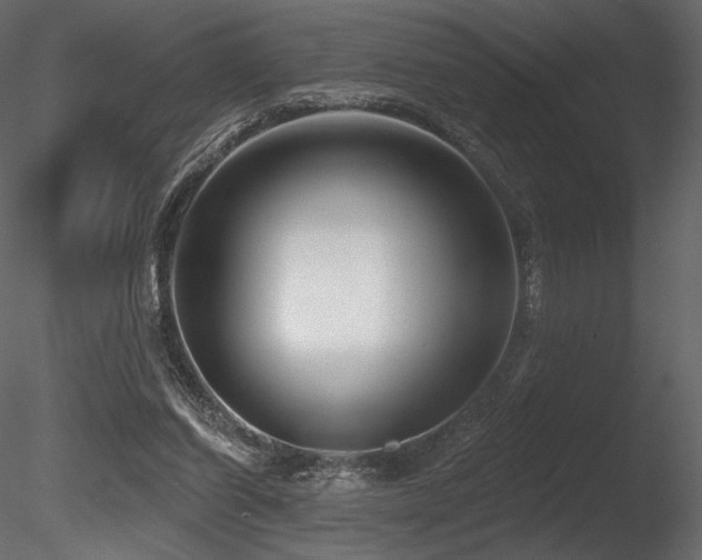 X0000085820254200703161230