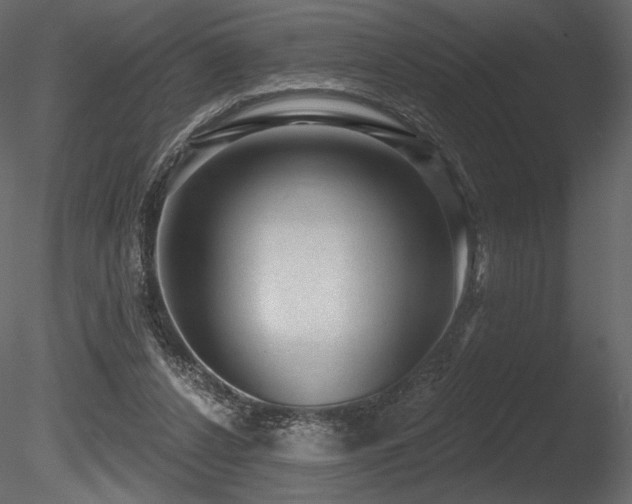 X0000085820256200703161230