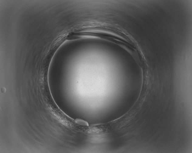 X0000085820257200703161230