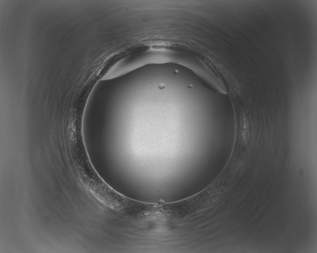 X0000085820259200703161230