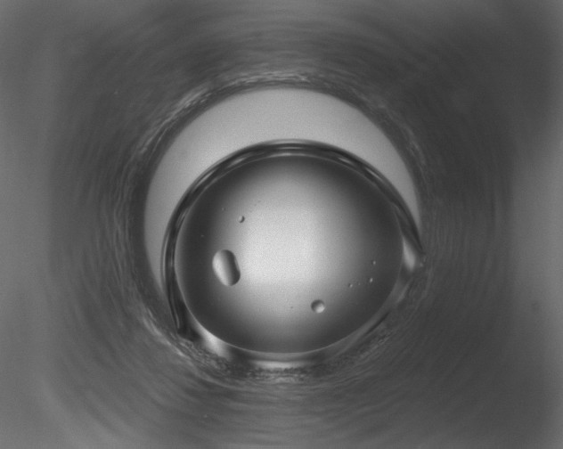 X0000085820260200703161230