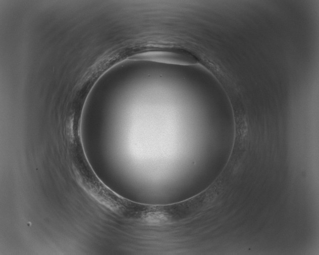 X0000085820262200703161230