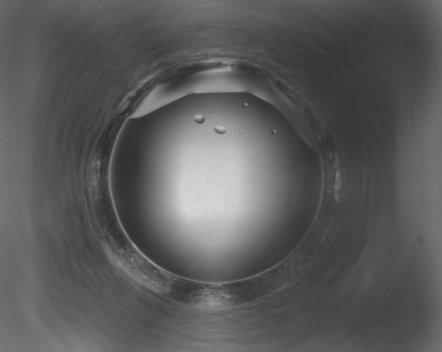 X0000085820263200703161230