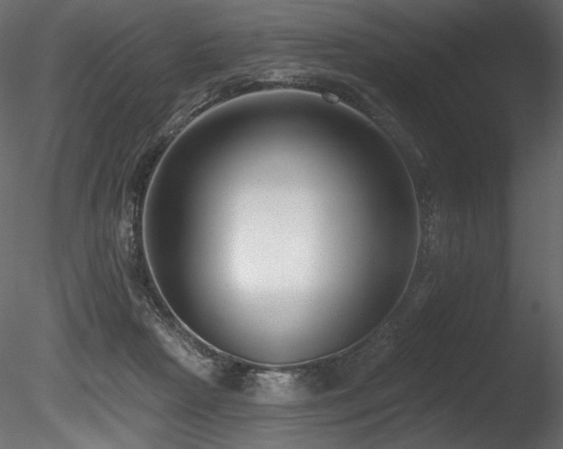 X0000085820265200703161230