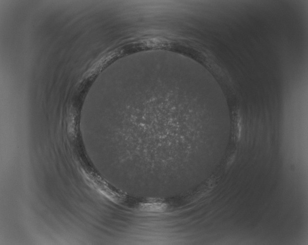 X0000085820266200703161230
