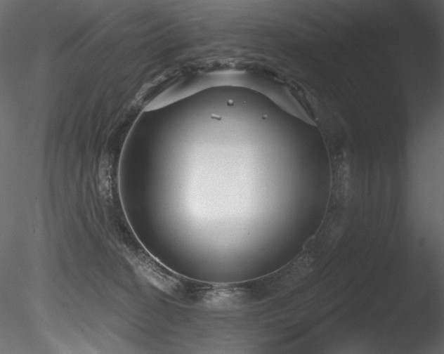 X0000085820274200703161231