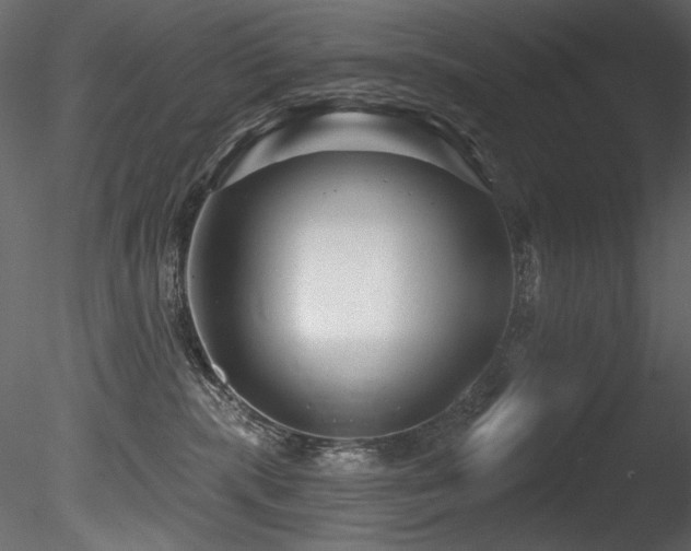 X0000085820283200703161231