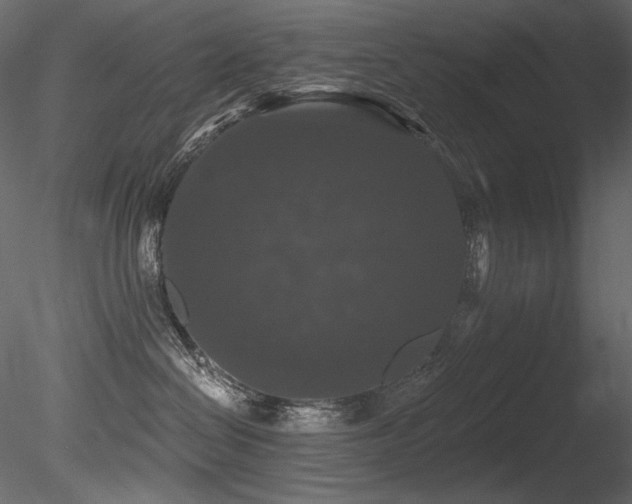 X0000085820286200703161231