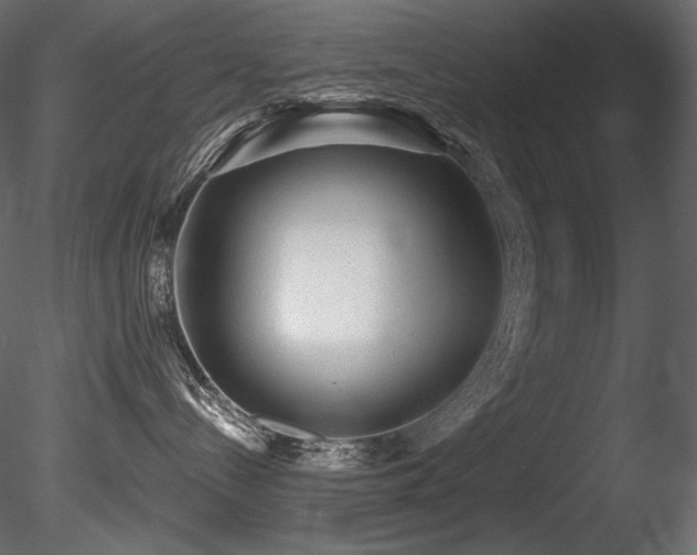 X0000085820288200703161231