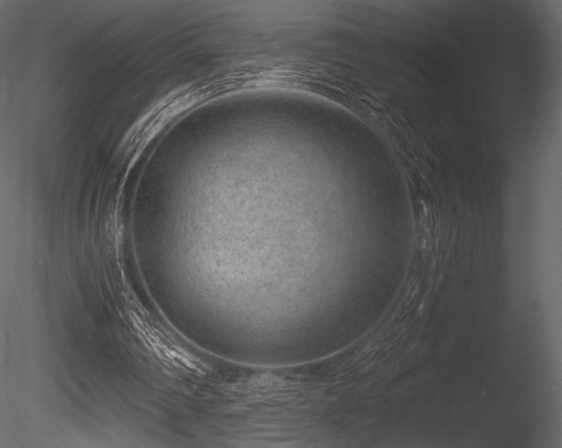 X0000085820290200703161230