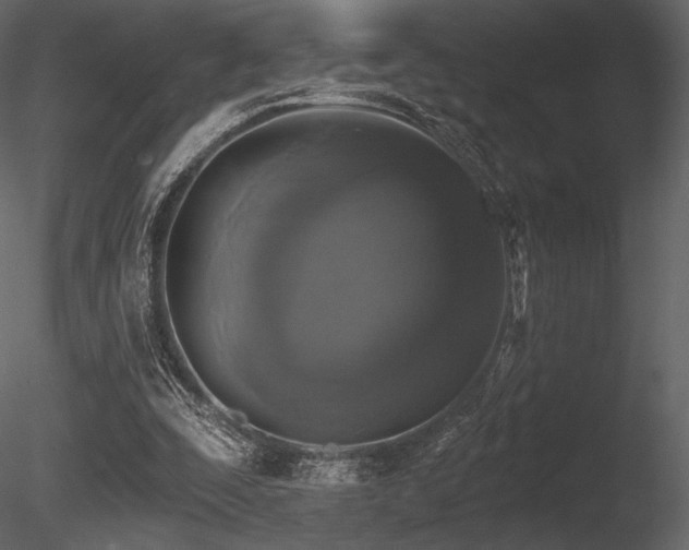 X0000085820295200703161230