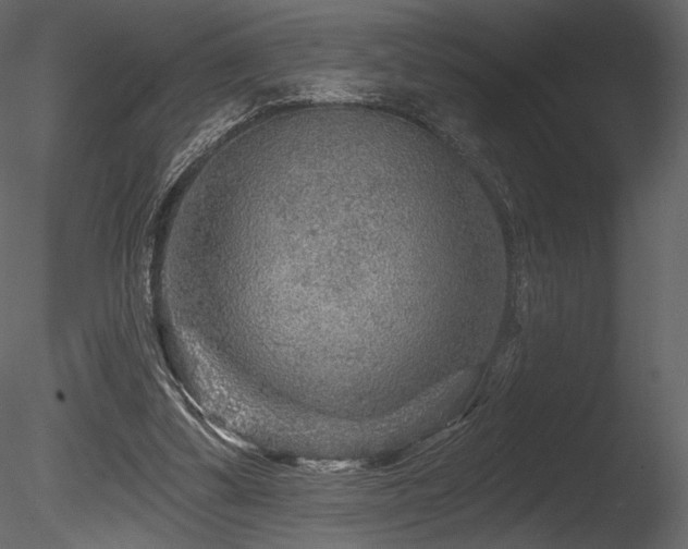 X0000085820299200703161230