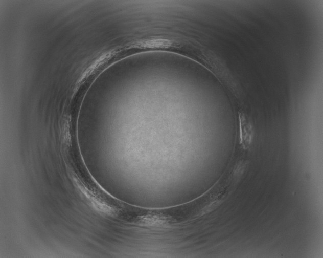 X0000085820300200703161230