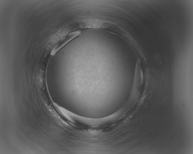 X0000085820305200703161230