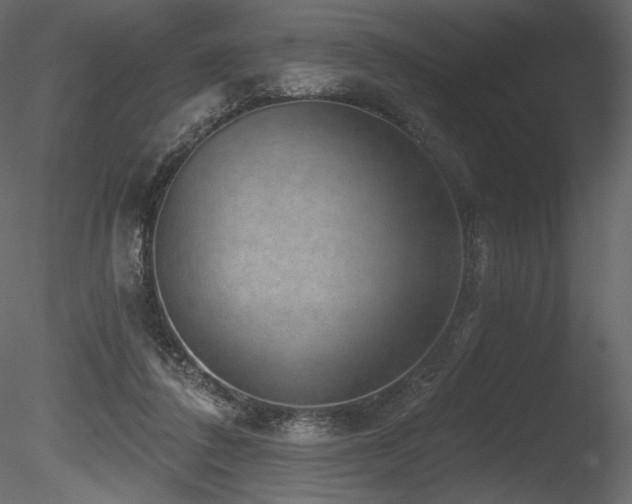 X0000085820308200703161230