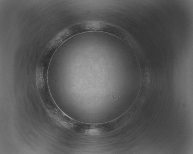 X0000085820312200703161230