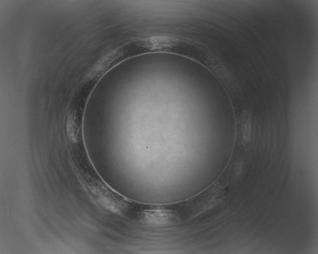 X0000085820316200703161229