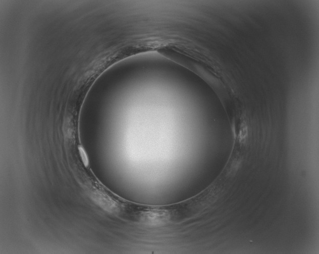 X0000085820317200703161229