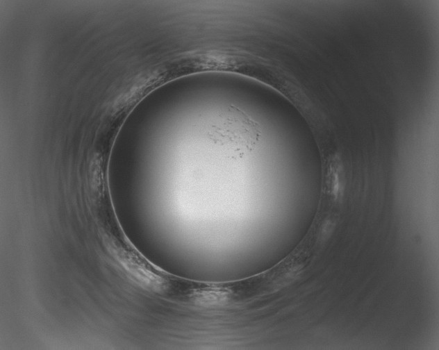 X0000085820318200703161229