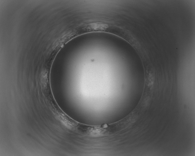 X0000085820321200703161229