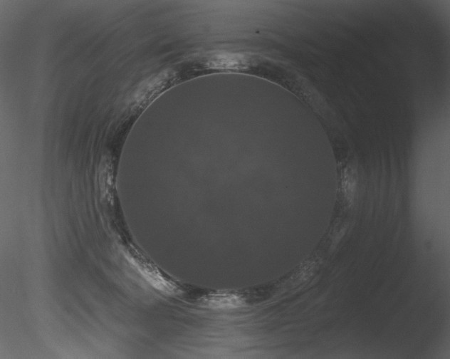 X0000085820322200703161229
