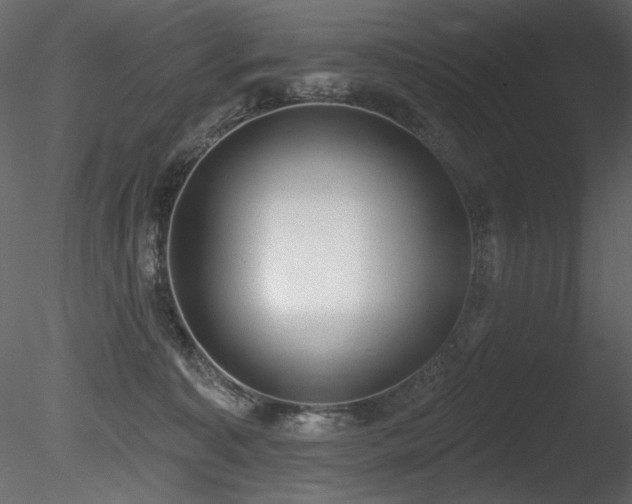 X0000085820323200703161229