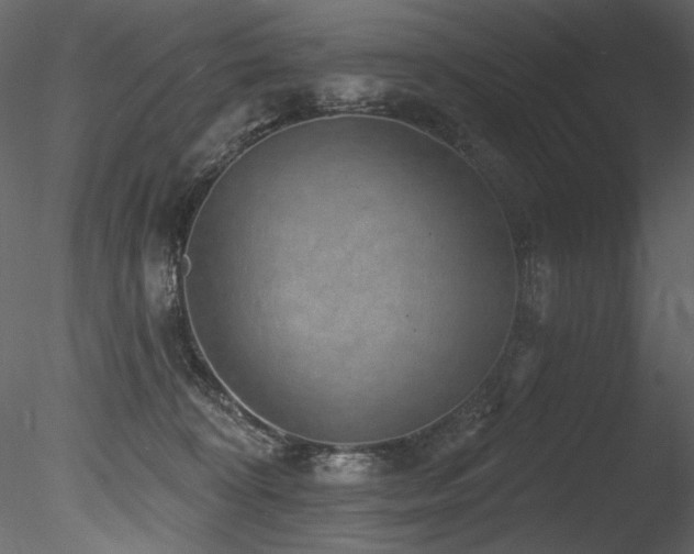 X0000085820324200703161229