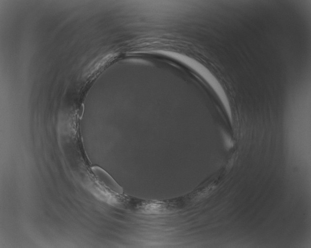 X0000085820325200703161229
