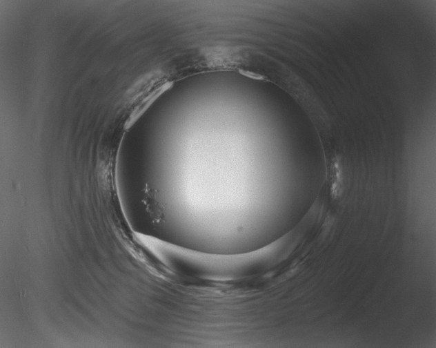 X0000085820329200703161229
