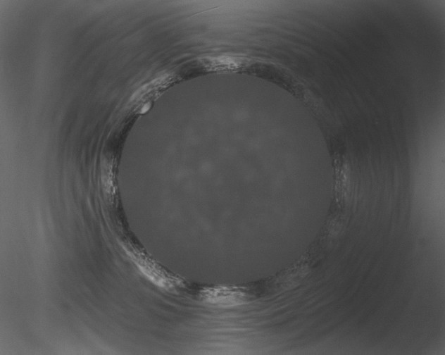 X0000085820331200703161229