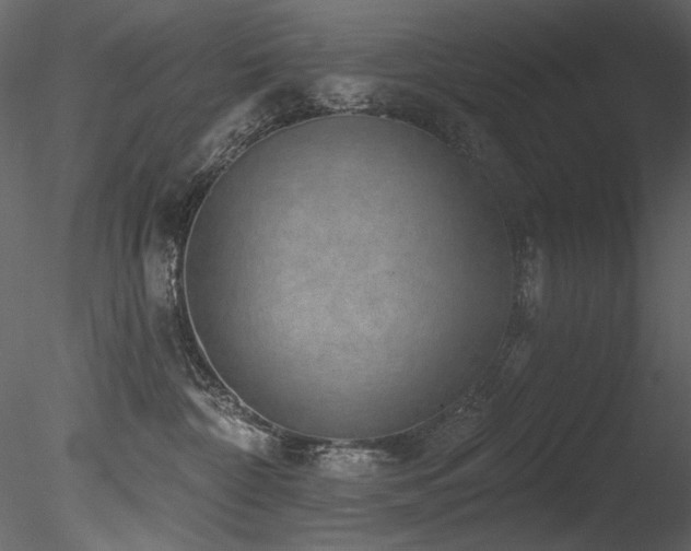 X0000085820332200703161229