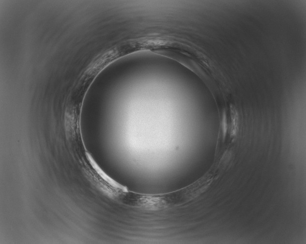 X0000085820333200703161229
