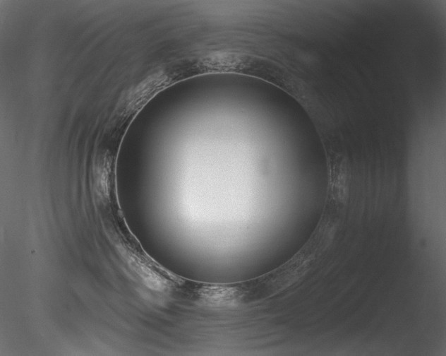 X0000085820334200703161229