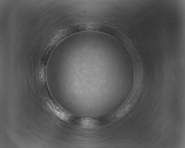 X0000085820336200703161229