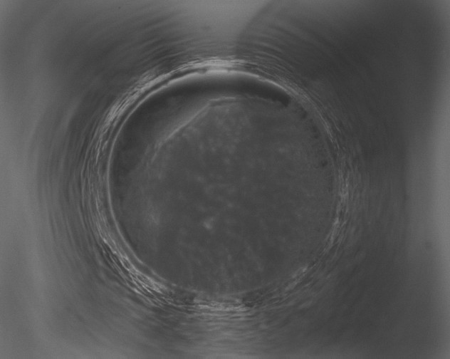 X0000085820337200703161228