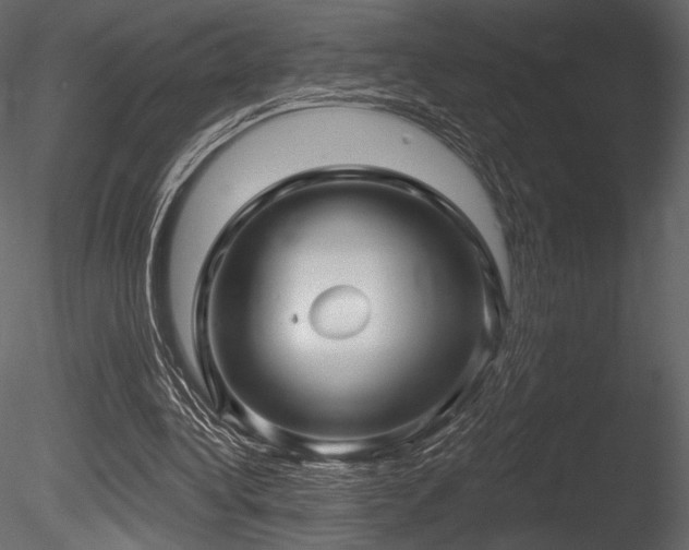 X0000085820340200703161228