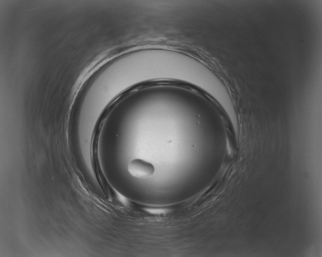 X0000085820344200703161228